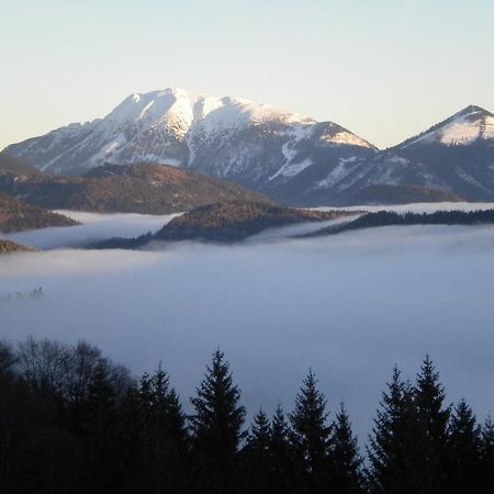 Hoehenstein Lunz am See Oda fotoğraf