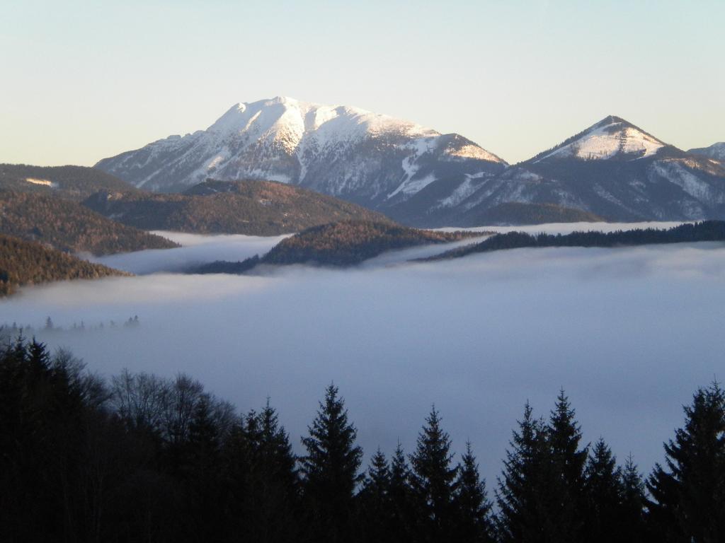 Hoehenstein Lunz am See Oda fotoğraf